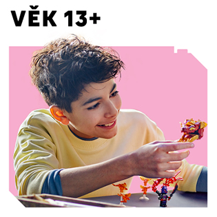 dlazdice_LEMI_Vek_2025_315 x 315_14